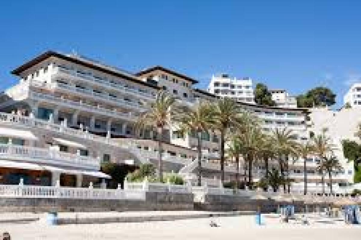 Apex Meet-ups Cooperation • Jobs • Networking in Palma, Spain